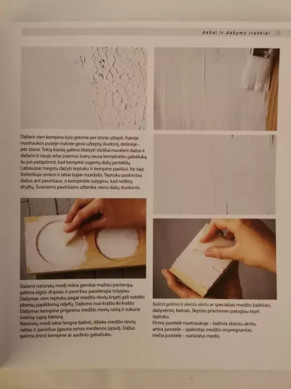 1001 idėja DEKORAVIMAS praktinis įvairių dekoravimo technikų vadovas - Lina Jaruševičiūtė, knyga 4