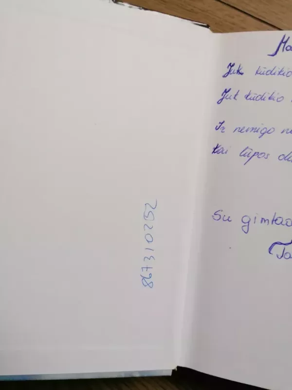 Sapnų labirintai - Nijolė Blaževičiūtė, knyga 4