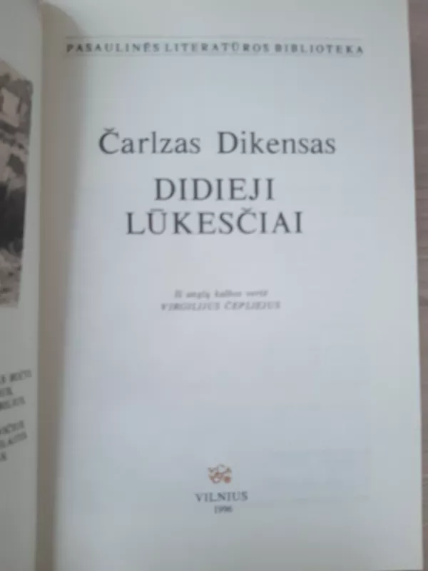 Didieji lūkesčiai - Charles Dickens, knyga 3