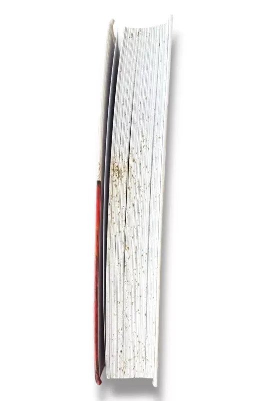 Jurgos Ivanauskaitės fenomenas: tarp siurrealizmo ir egzistencializmo - Jūratė Baranova, knyga 5