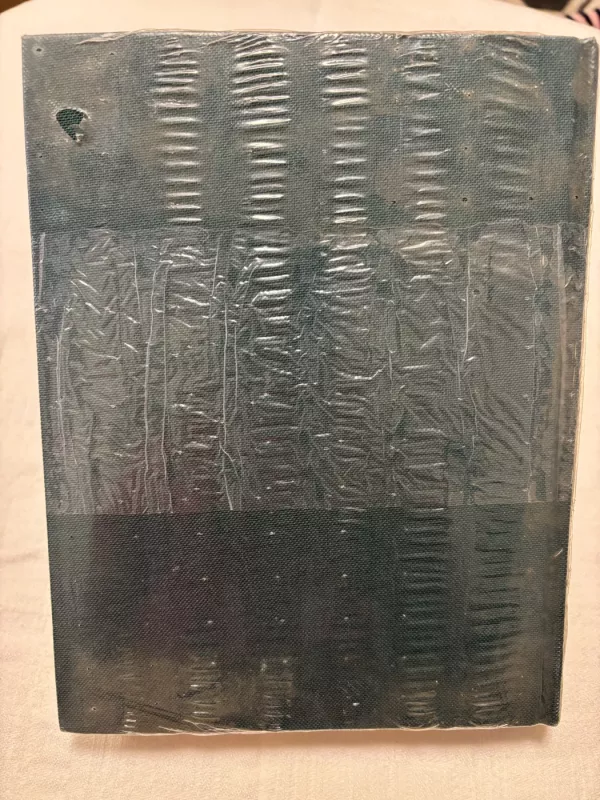 Lietuvos vienuolijos: XX a. istorijos bruožai - Regina Laukaitytė, knyga 3