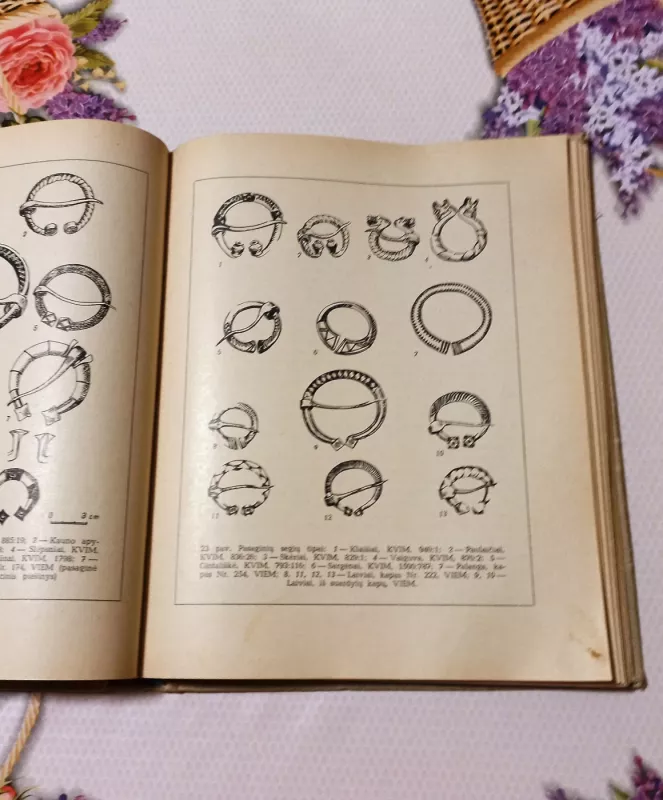 Lietuviai IX-XII amžiais - Regina Volkaitė-Kulikauskienė, knyga 5