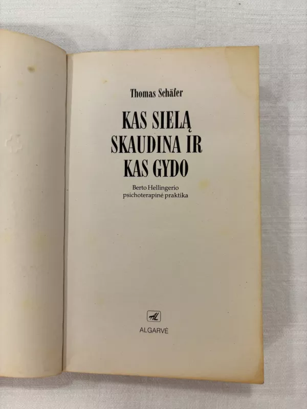 Kas sielą skaudina ir kas gydo - Thomas Schafer, knyga 3