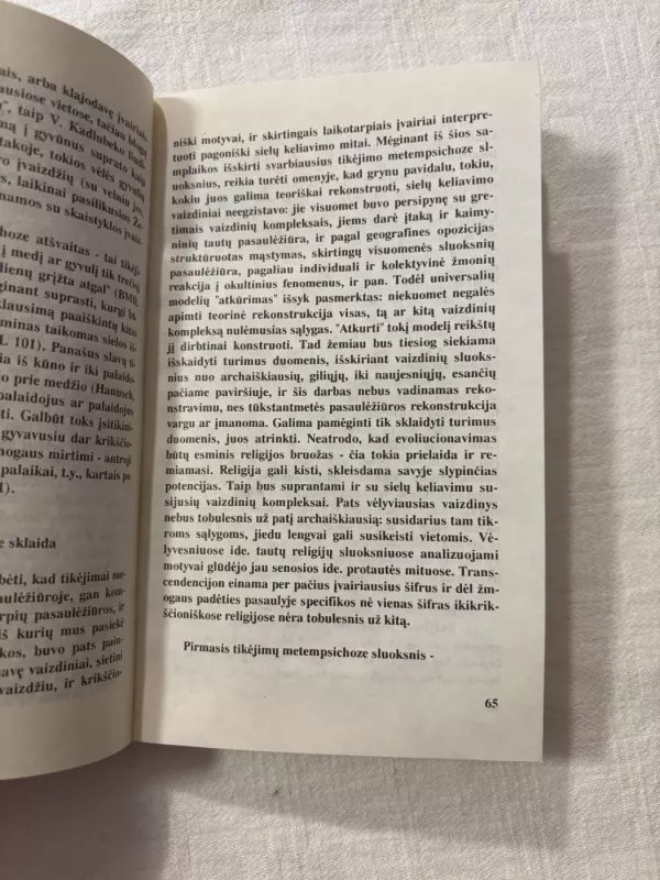 Dausos • Pomirtinio gyvenimo samprata senojoje lietuvių pasaulėžiūroje - Gintaras Beresnevičius, knyga 4