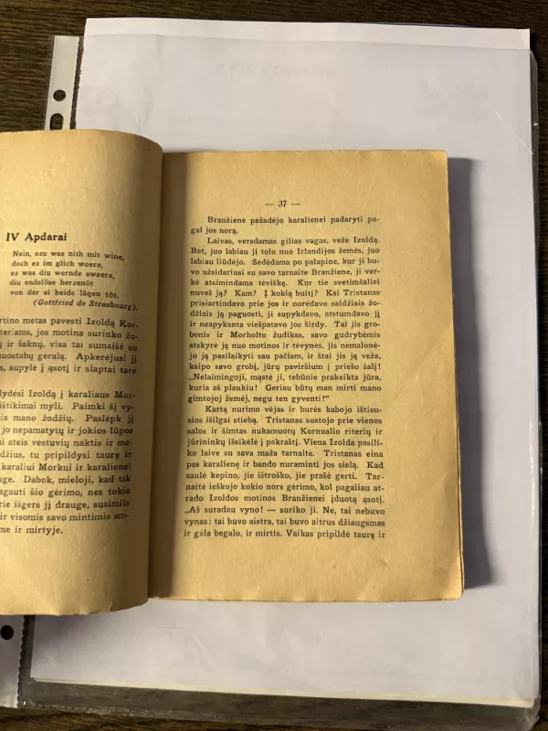 Tristanas ir Izolda - Joseph Bedier, knyga 5