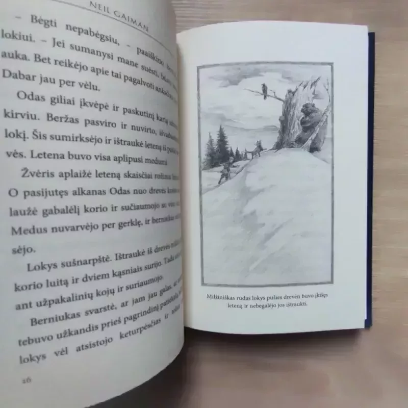 Odas ir šerkšno milžinai - Neil Gaiman, knyga 6