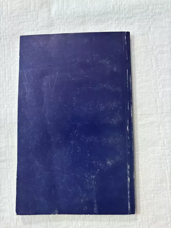 Vienuolio užrašai - Vytautas Kazlauskas, knyga 4