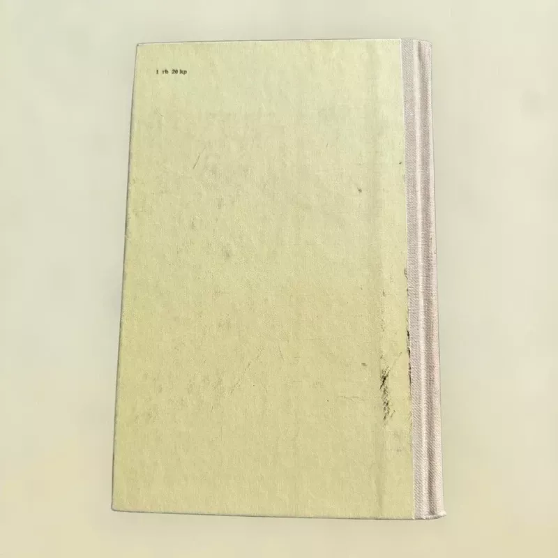 Pasteras - Minjona Janovskaja, knyga 4