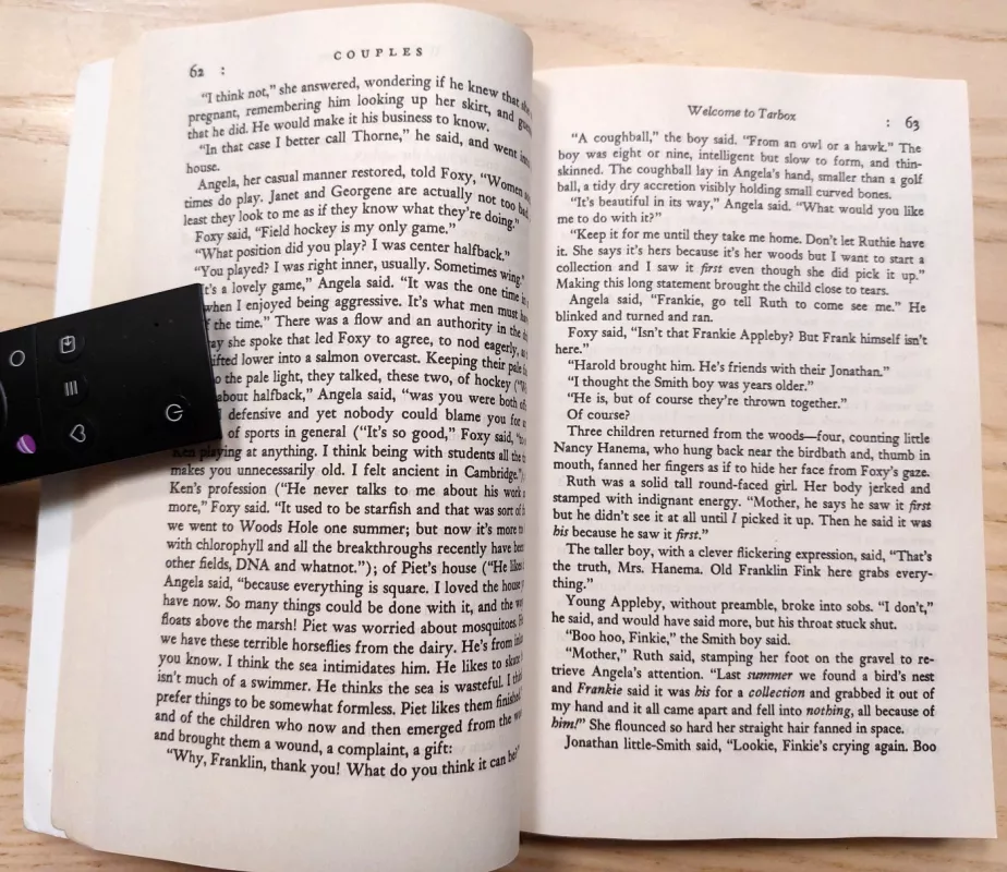 Couples (Penguin Modern Classics) - John Updike, knyga 6