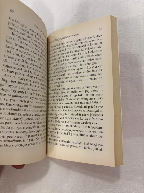 Gėrio ir blogio pažinimo medis - Omramas Mikaelis Aivanovas, knyga 5