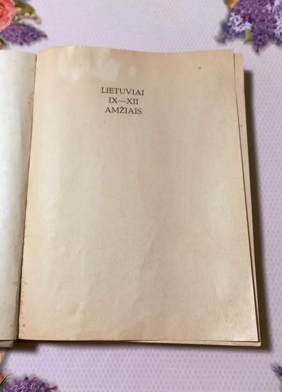 Lietuviai IX-XII amžiais - Regina Volkaitė-Kulikauskienė, knyga 3