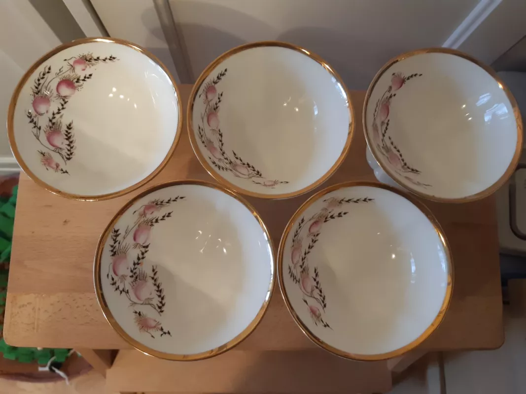 Jiesia indeliai ledams - , namai ir interjeras 3