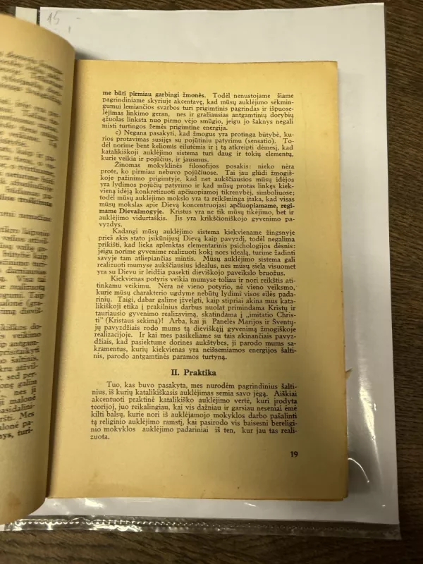 Jaunos sielos auklėjimas - Tihamer Toth, knyga 6