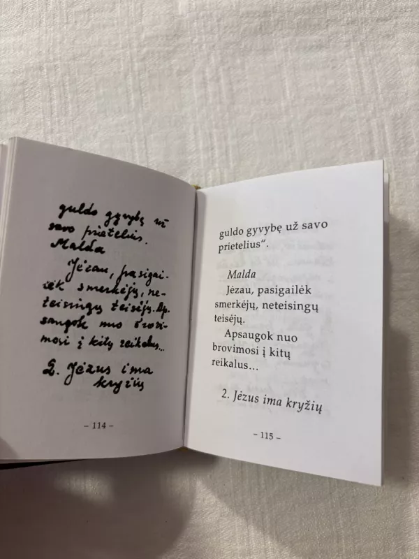 Marija, gelbėki mus - Autorių kelektyvas, knyga 4