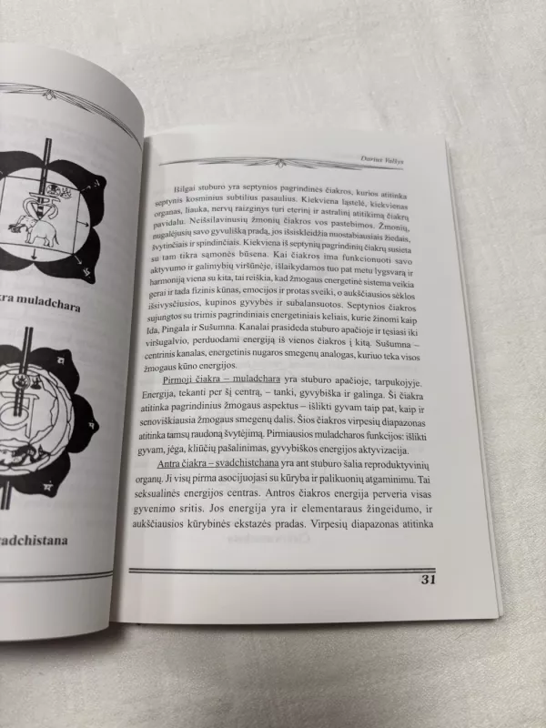 Dieviškumo instinktas arba Naujasis žmogaus evoliucijos kelias - Darius Valšys, knyga 4