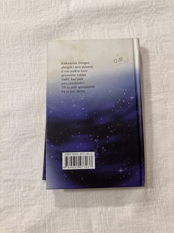 Iliuzijos - Richard Bach, knyga 5