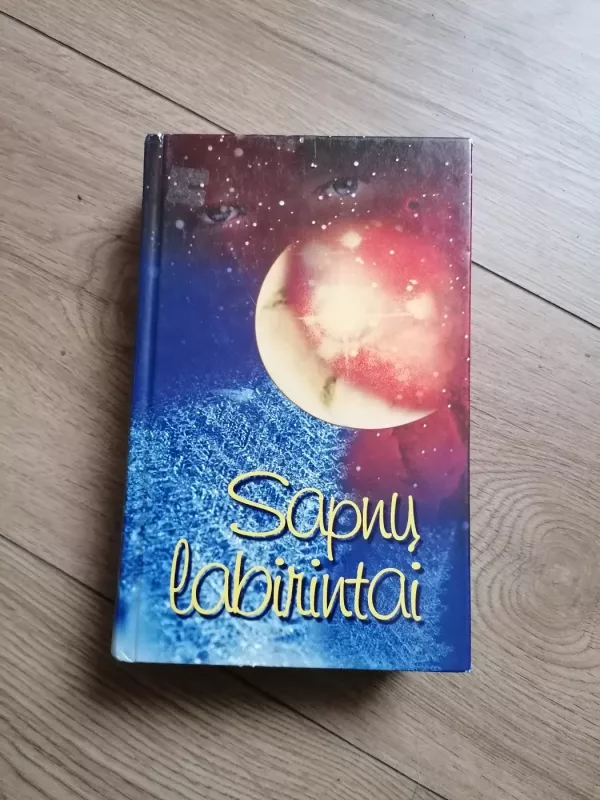 Sapnų labirintai - Nijolė Blaževičiūtė, knyga 2