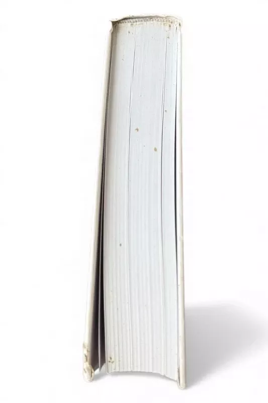 Jurgos Ivanauskaitės fenomenas: tarp siurrealizmo ir egzistencializmo - Jūratė Baranova, knyga 6