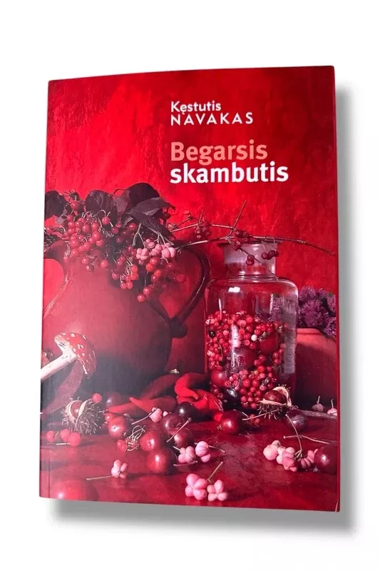 Begarsis skambutis: esė - Kęstutis Navakas, knyga 2