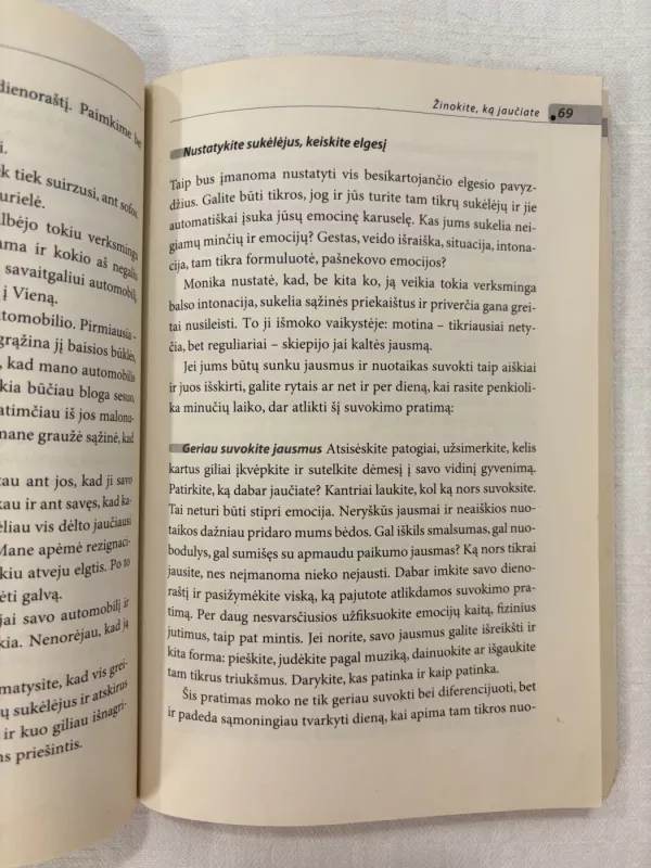 Harmonijos spąstuose - Irene Becker, knyga 5