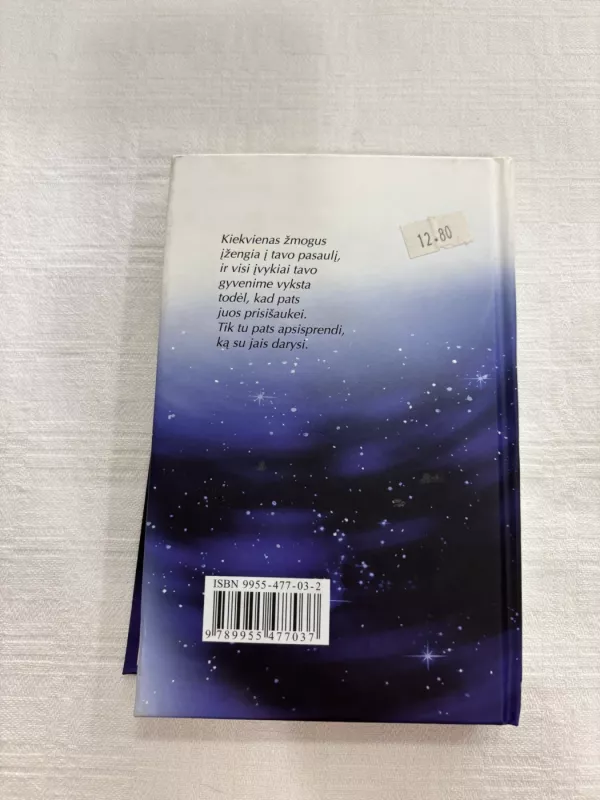 Iliuzijos - Richard Bach, knyga 4