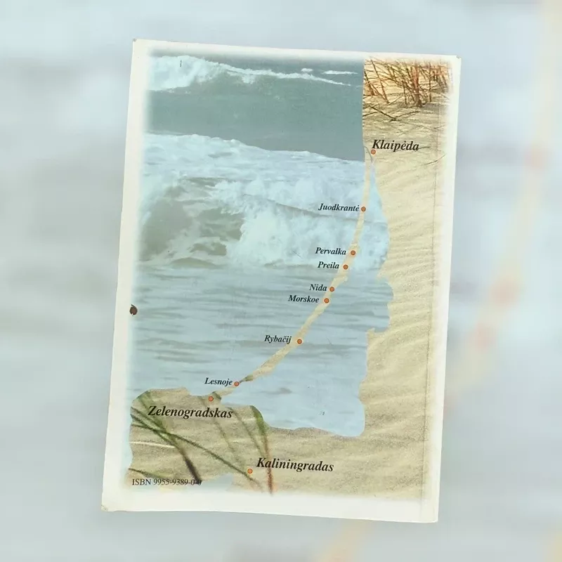 Kuršių nerijos smėlynų augalai - Stasė Alenskienė, knyga 3