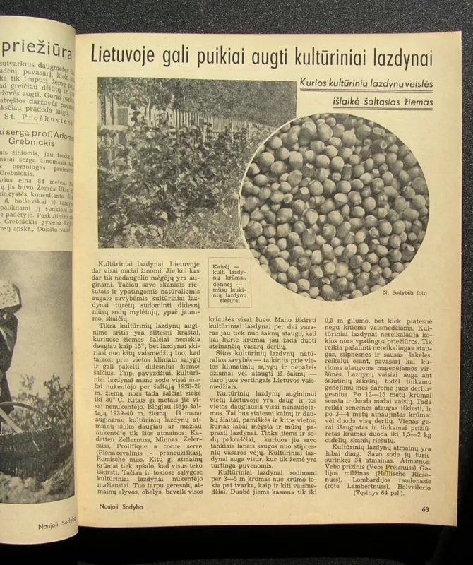 Naujoji sodyba. 1941-1944 m. - Redaktorius: Pranas Rimkus, knyga 6