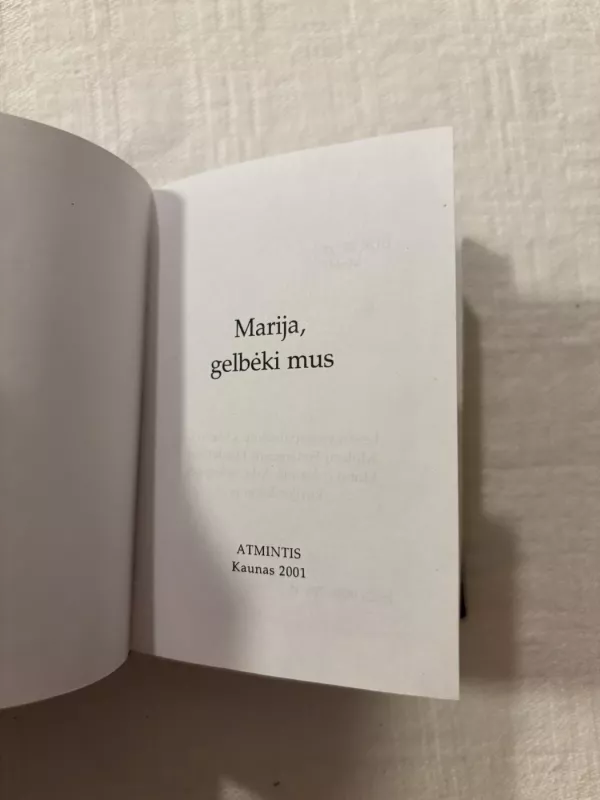 Marija, gelbėki mus - Autorių kelektyvas, knyga 3