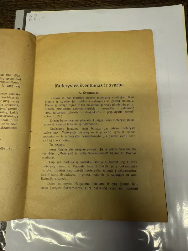Sužieduotiniams ir jaunavedžiams pagalvoti - V. Borisevičius, knyga 4