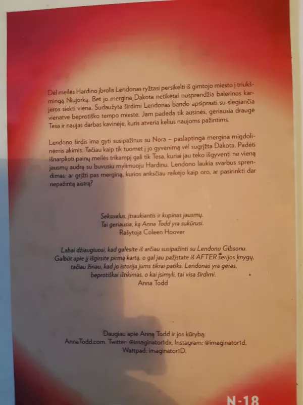 Nothing More. Tarp dviejų širdžių - Todd Anna, knyga 3