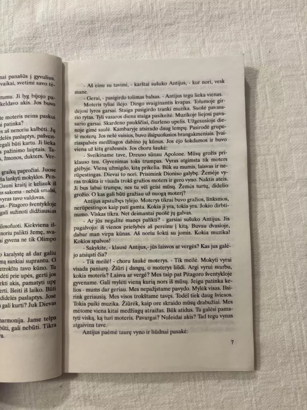 Pitagoro šventykla - Vytautas Kazlauskas, knyga 4