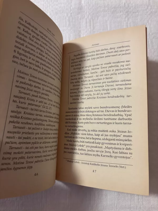 Beribė Meilė - Motina Teresė, knyga 4