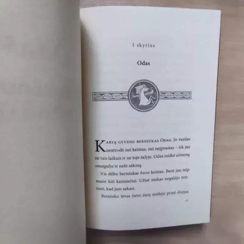 Odas ir šerkšno milžinai - Neil Gaiman, knyga 5