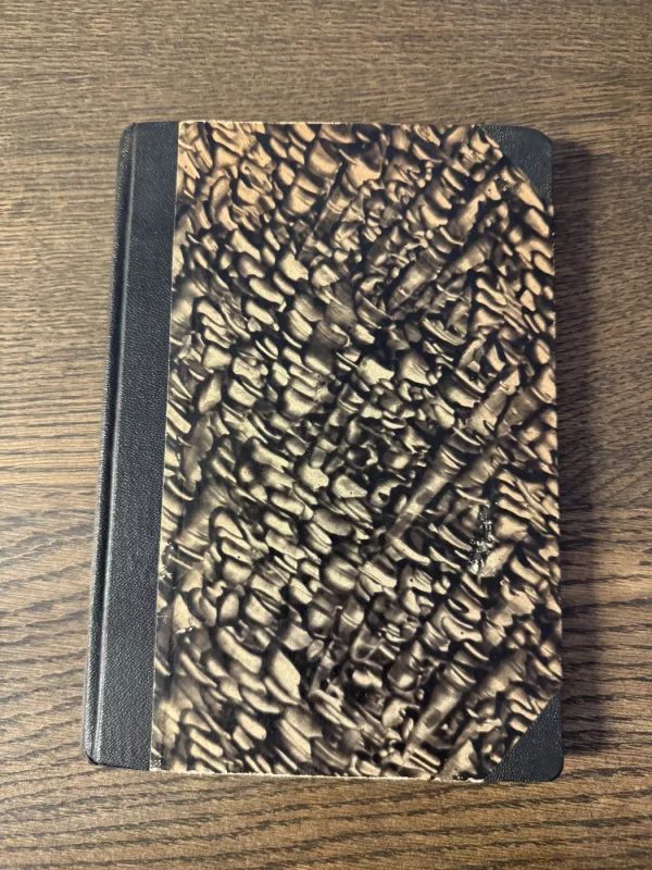 ,,Kad kūrentųsi" - Ladas Tulaba, knyga 3