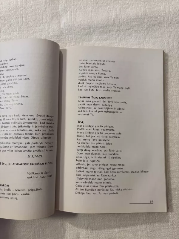 Kelionėje - Autorių Kolektyvas, knyga 4