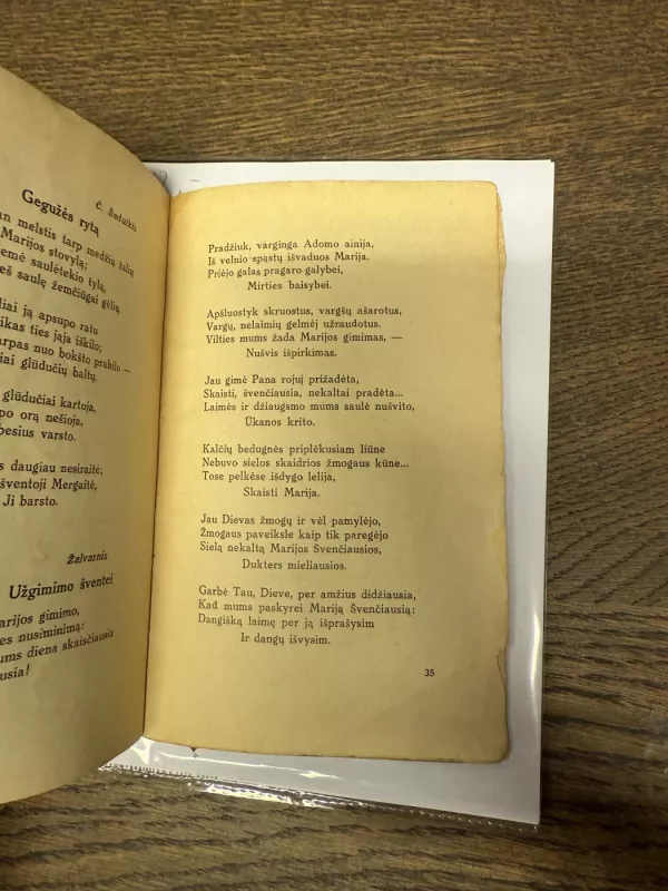 Marijos Žiedai - A. Tyruolis, knyga 6