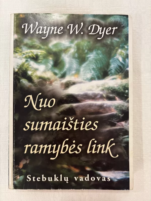 Nuo sumaišties ramybės link - Wayne W. Dyer, knyga 2