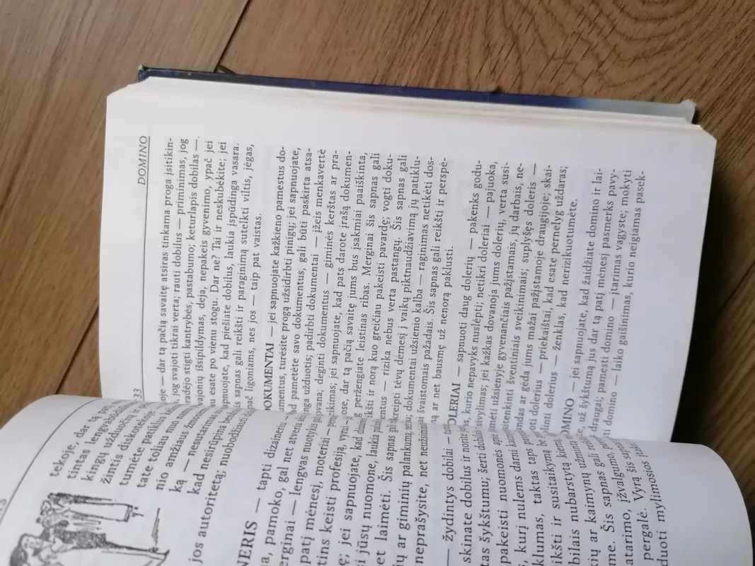 Sapnų labirintai - Nijolė Blaževičiūtė, knyga 6