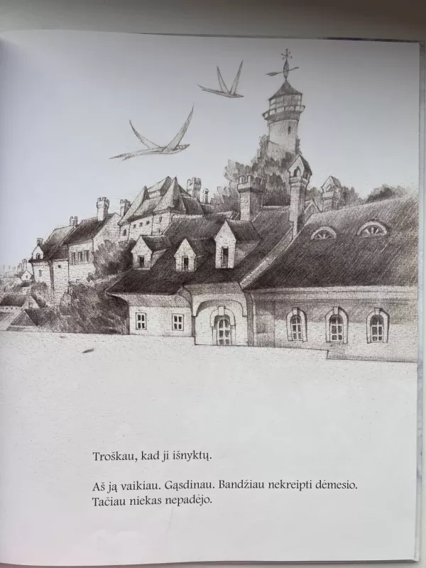 Ką daryti susidūrus su problema? - Kobi Yamada, knyga 5