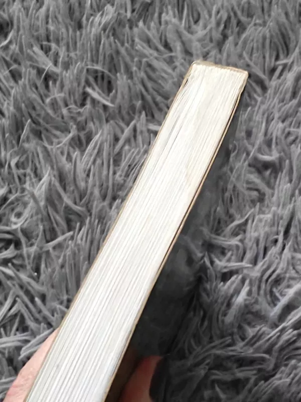 Socialinis tikrovės konstravimas - Peter L. Berger, knyga 4