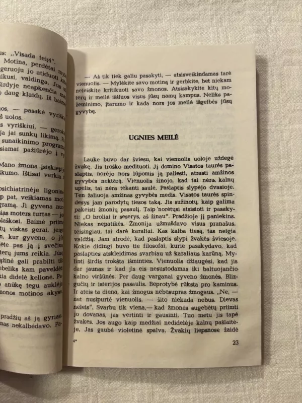 Vienuolio užrašai - Vytautas Kazlauskas, knyga 5