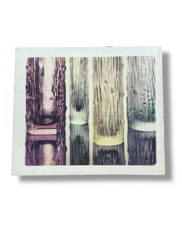 Stalų serviravimas - Felicija Galkienė, knyga 3