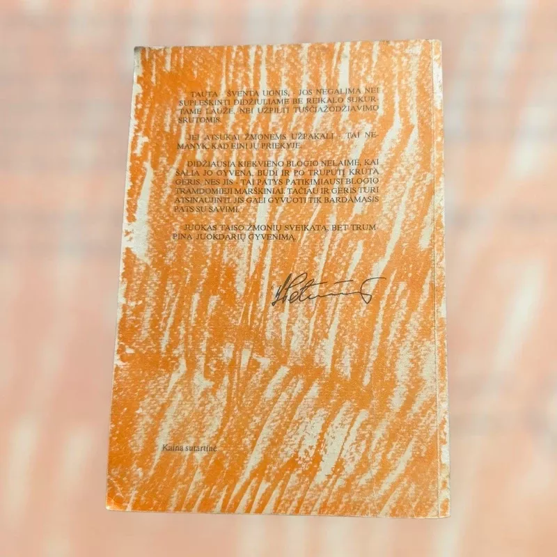 Abrakadabra I dalis - Vytautas Petkevičius, knyga 3