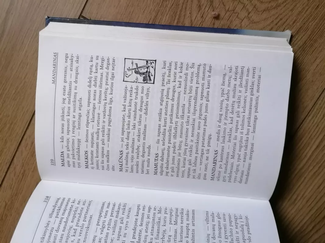 Sapnų labirintai - Nijolė Blaževičiūtė, knyga 5