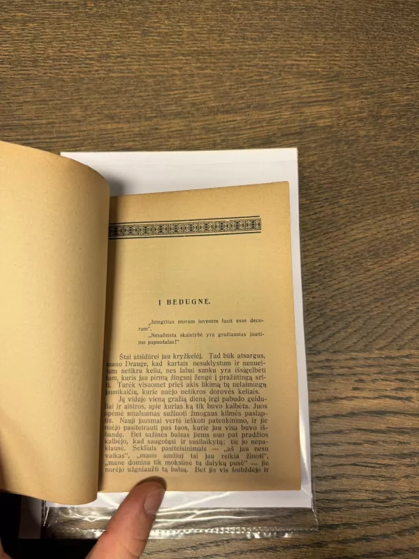 Jaunimo kovos - Tihamer Toth, knyga 5