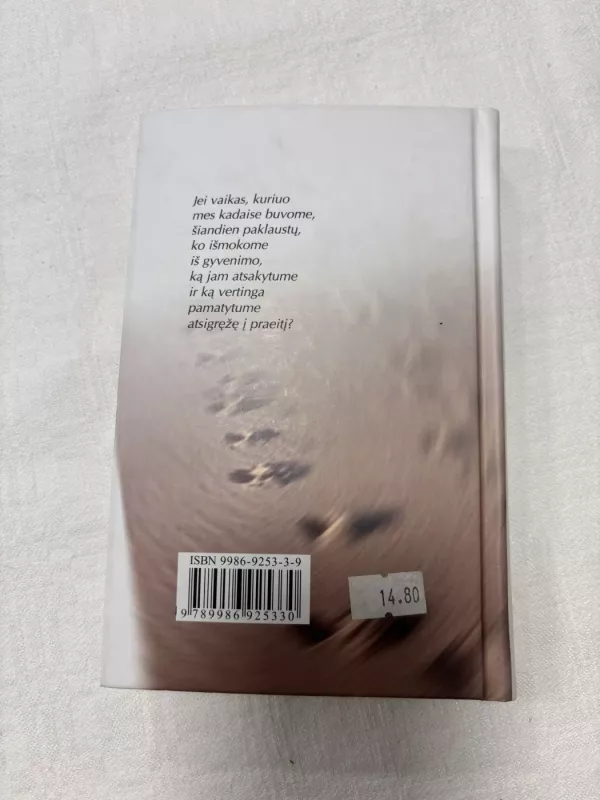 Palikę užuovėją - Richard Bach, knyga 5