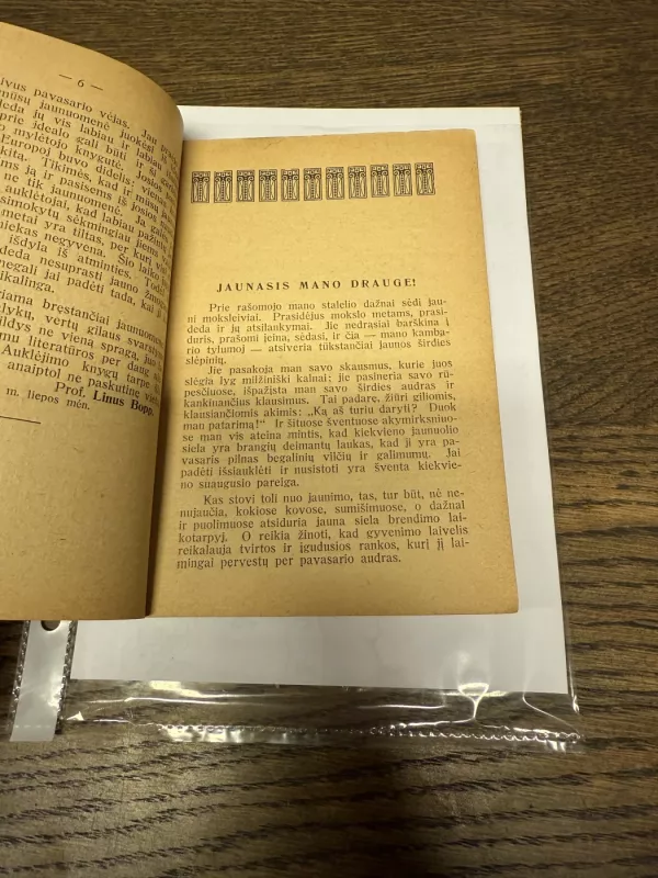 Jaunimo kovos - Tihamer Toth, knyga 4