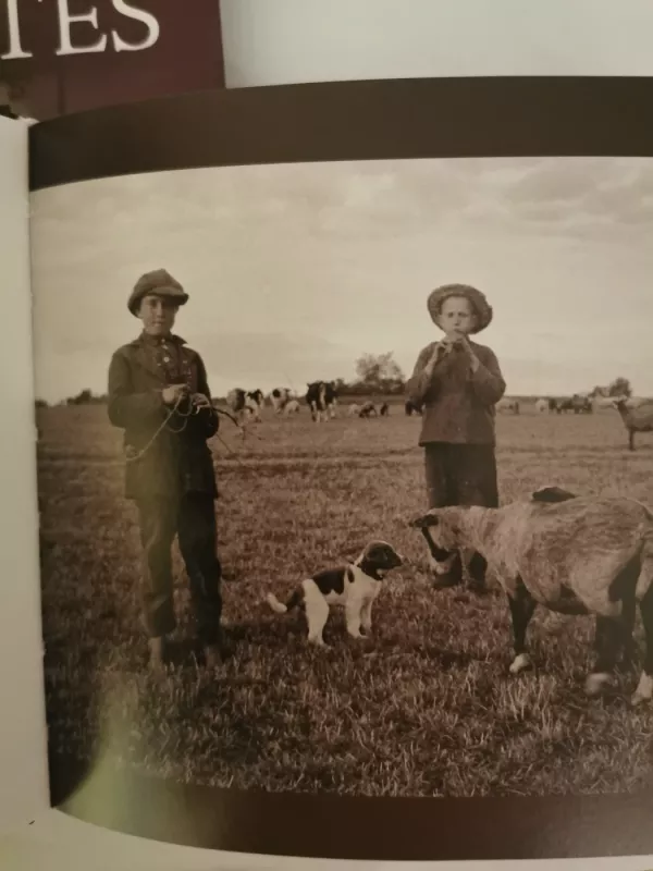 Darbai ir šventės, Vaikai, Portretai. Tarpukario veidai - Balys Buračas, knyga 6