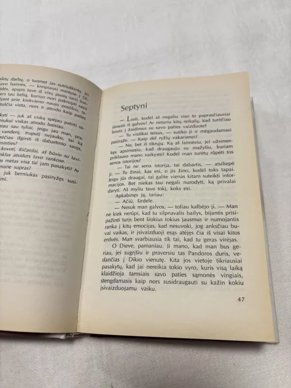 Palikę užuovėją - Richard Bach, knyga 4