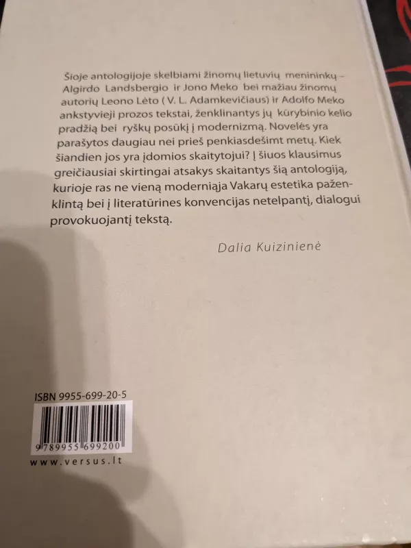 Modernioji lietuvių egzilio proza - A. Landsbergis, knyga 3
